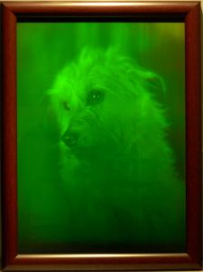 Hologram "Lap-dog"