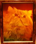 Hologram "Persian cat"
