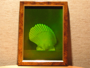 Hologram "Shells"